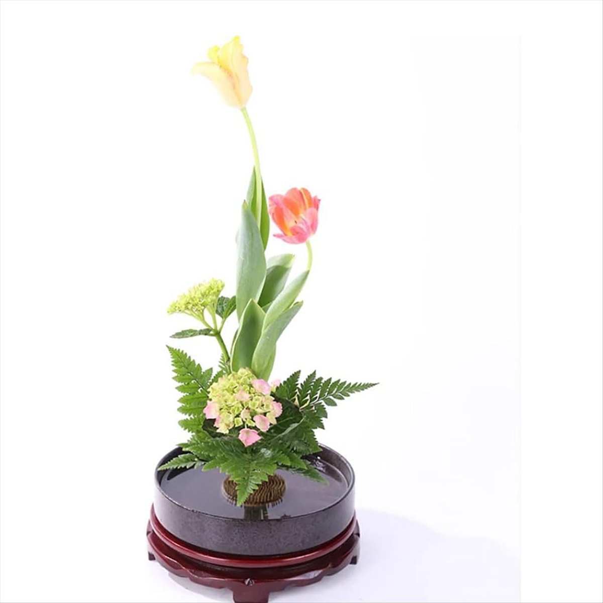 KSOL 12PCS Flower Frog, Kenzan - Flower Frog Pin のレビューと価格