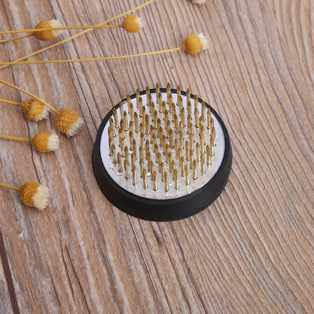 Rubber Kenzan Spiky Needle Art - Flower Frog Pin のレビューと価格