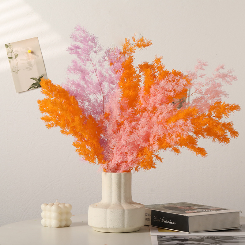 Preserved Ming Fern & Eternal  - Florist Supply Shop のレビューと価格