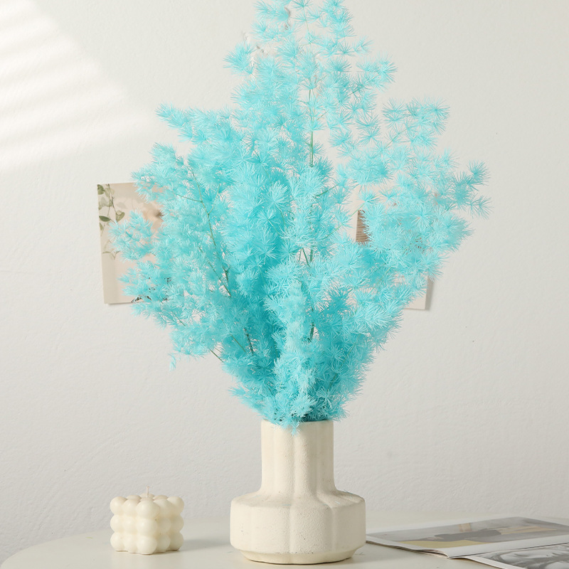 Preserved Ming Fern & Eternal  - Florist Supply Shop のレビューと価格